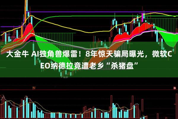 大金牛 AI独角兽爆雷！8年惊天骗局曝光，微软CEO纳德拉竟遭老乡“杀猪盘”