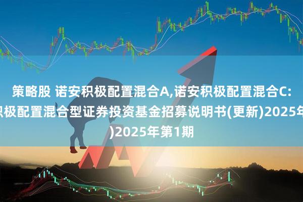 策略股 诺安积极配置混合A,诺安积极配置混合C: 诺安积极配置混合型证券投资基金招募说明书(更新)2025年第1期
