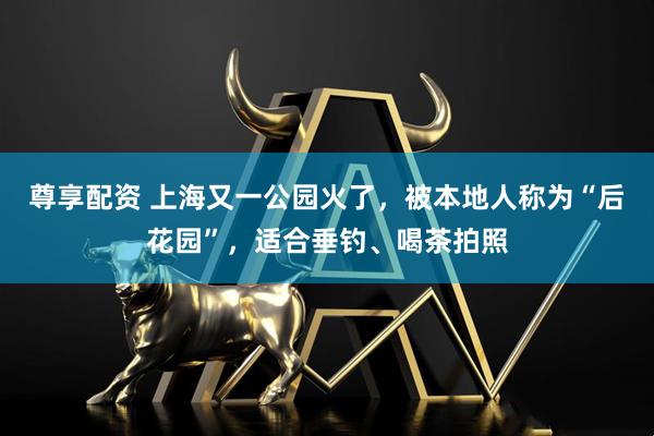 尊享配资 上海又一公园火了，被本地人称为“后花园”，适合垂钓、喝茶拍照