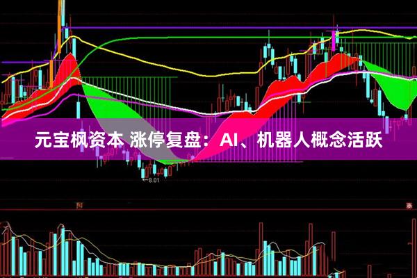 元宝枫资本 涨停复盘：AI、机器人概念活跃