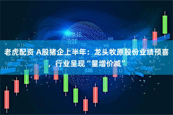 老虎配资 A股猪企上半年：龙头牧原股份业绩预喜，行业呈现“量增价减”