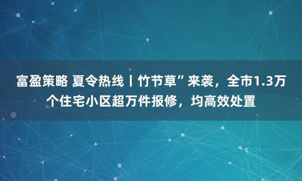 富盈策略 夏令热线丨竹节草”来袭，全市1.3万个住宅小区超万件报修，均高效处置
