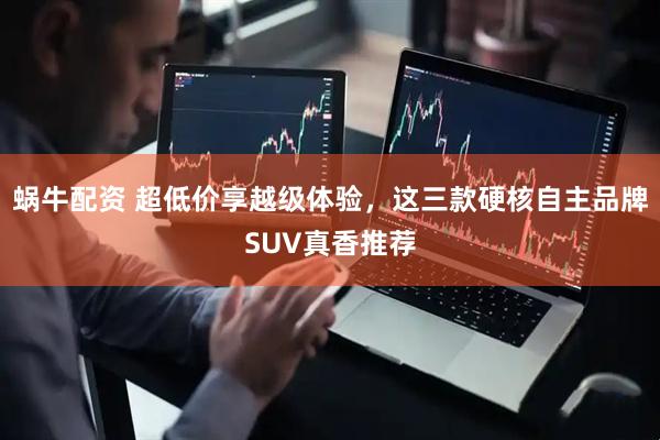 蜗牛配资 超低价享越级体验，这三款硬核自主品牌SUV真香推荐