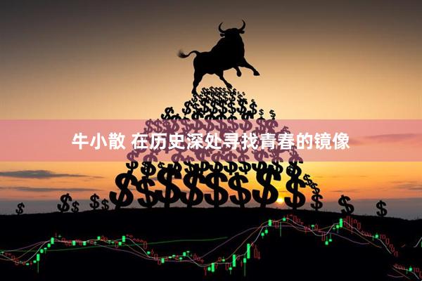 牛小散 在历史深处寻找青春的镜像