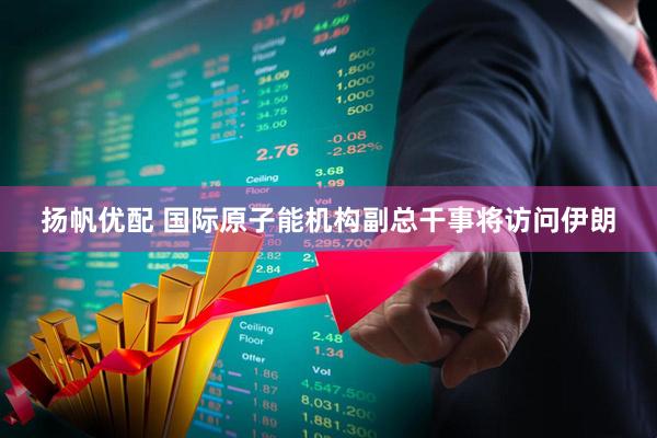 扬帆优配 国际原子能机构副总干事将访问伊朗