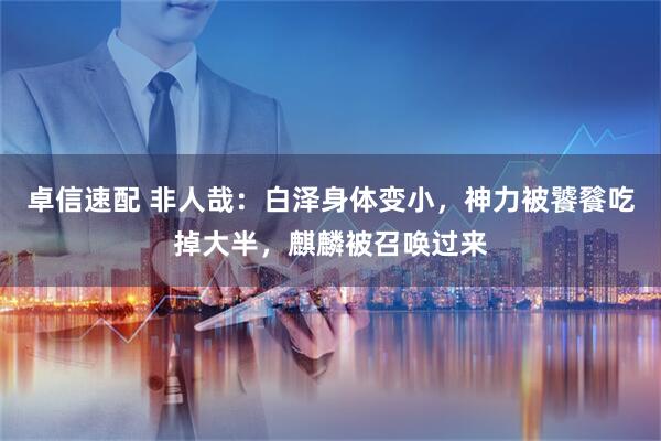 卓信速配 非人哉：白泽身体变小，神力被饕餮吃掉大半，麒麟被召唤过来