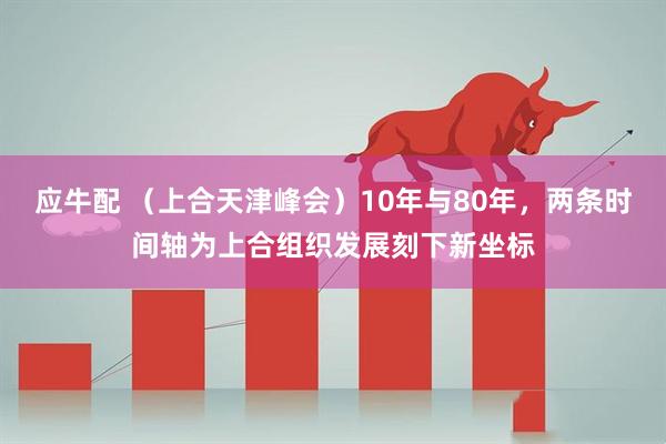 应牛配 （上合天津峰会）10年与80年，两条时间轴为上合组织发展刻下新坐标
