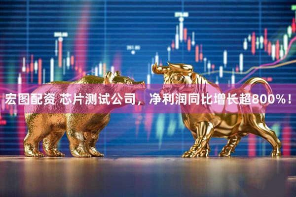 宏图配资 芯片测试公司，净利润同比增长超800%！