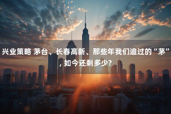 兴业策略 茅台、长春高新、那些年我们追过的“茅”, 如今还剩多少?