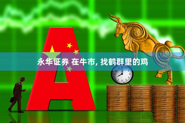 永华证券 在牛市, 找鹤群里的鸡